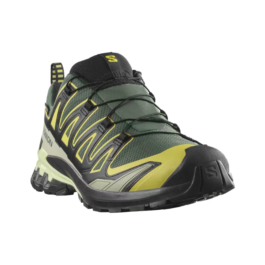 Salomon XA Pro 3D V9 GTX: Retr - огляд і ціна Salomon Shoes Xa Pro 3D