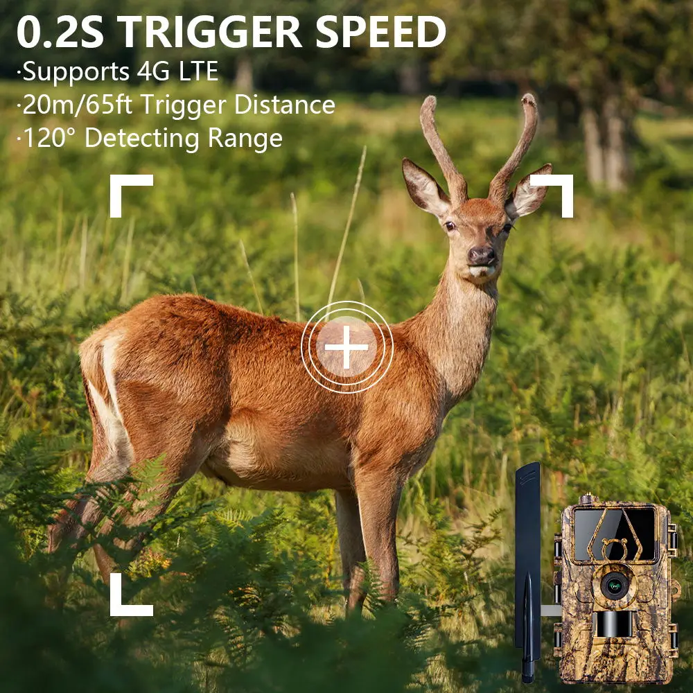 1Pcs HD8K Infrared Camera For  - огляд і ціна Outdoor Hunting Videos
