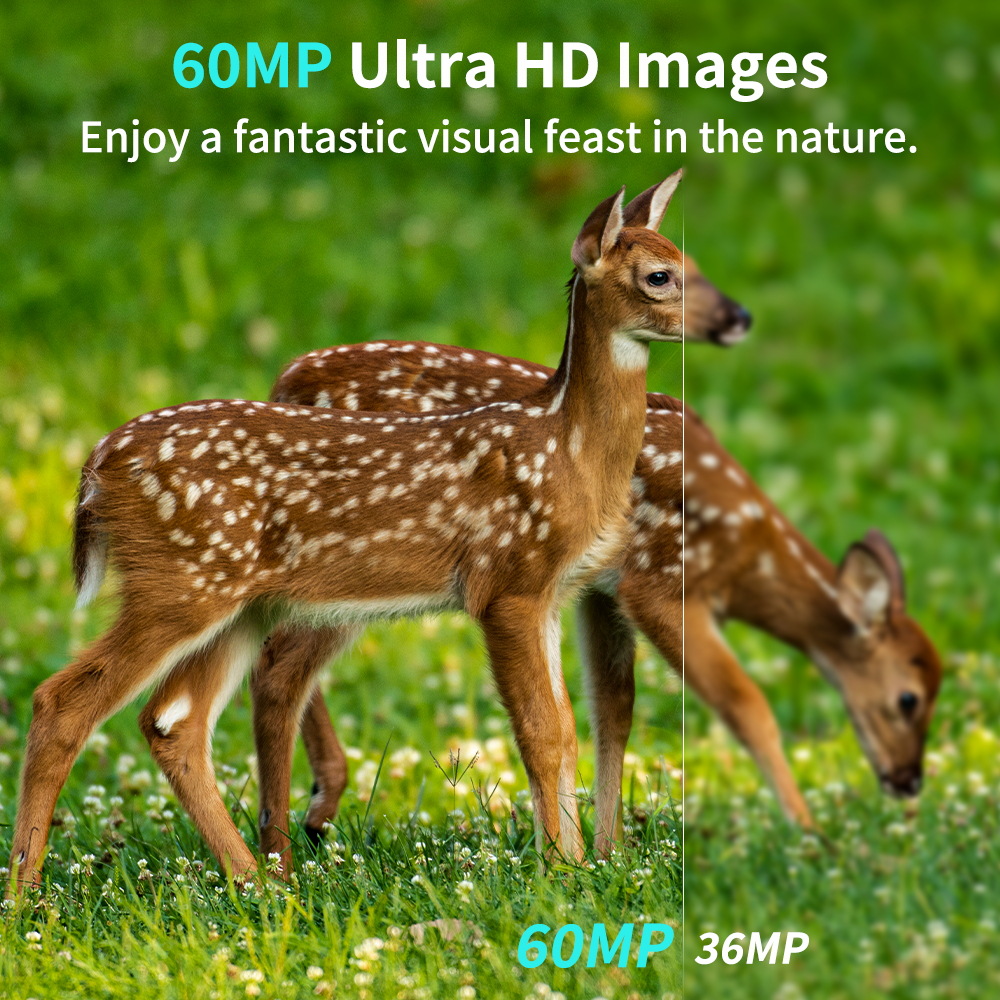 PR901 60MP Outdoor Infrared Hu - огляд і ціна Hunting Outdoors Card