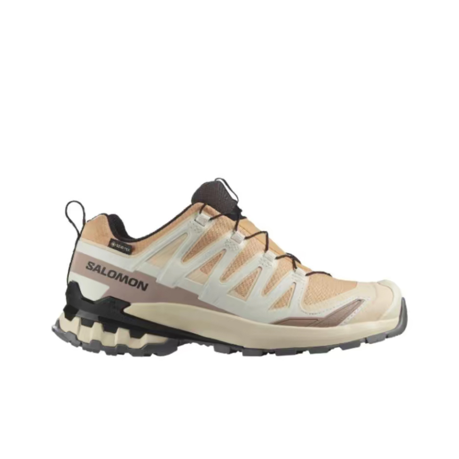 Salomon XA Pro 3D V9 GTX: A lo - огляд і ціна Salomon Shoes Xa Pro 3D