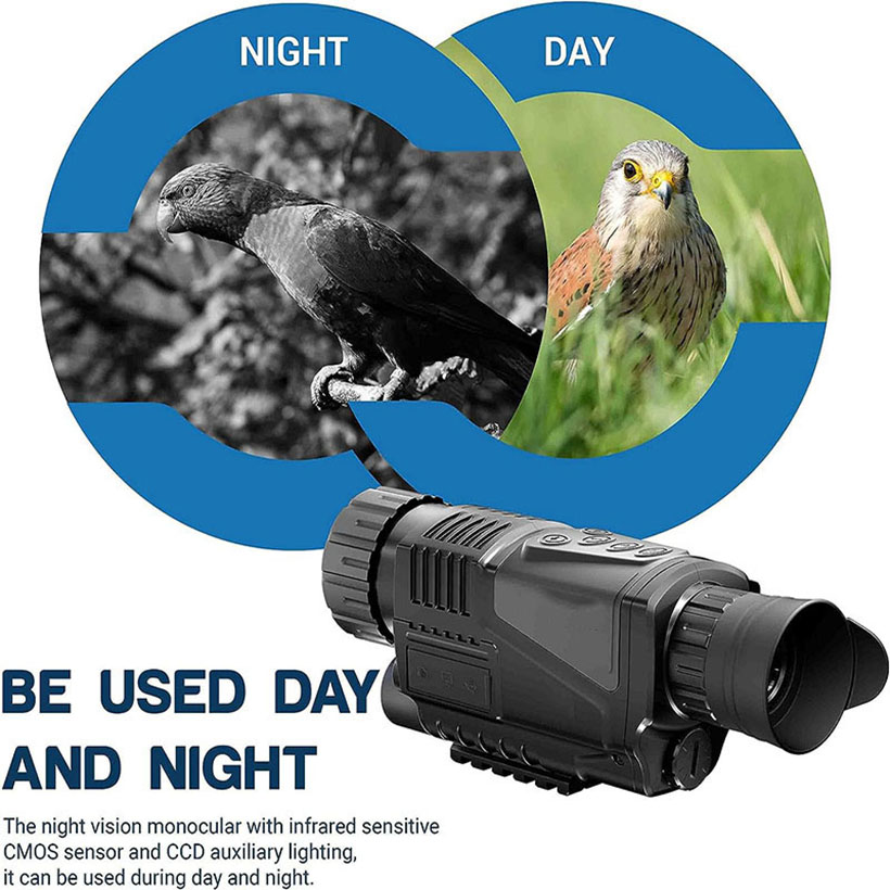 Low Light Night Vision Hunting - огляд і ціна Outdoor Hunting Videos